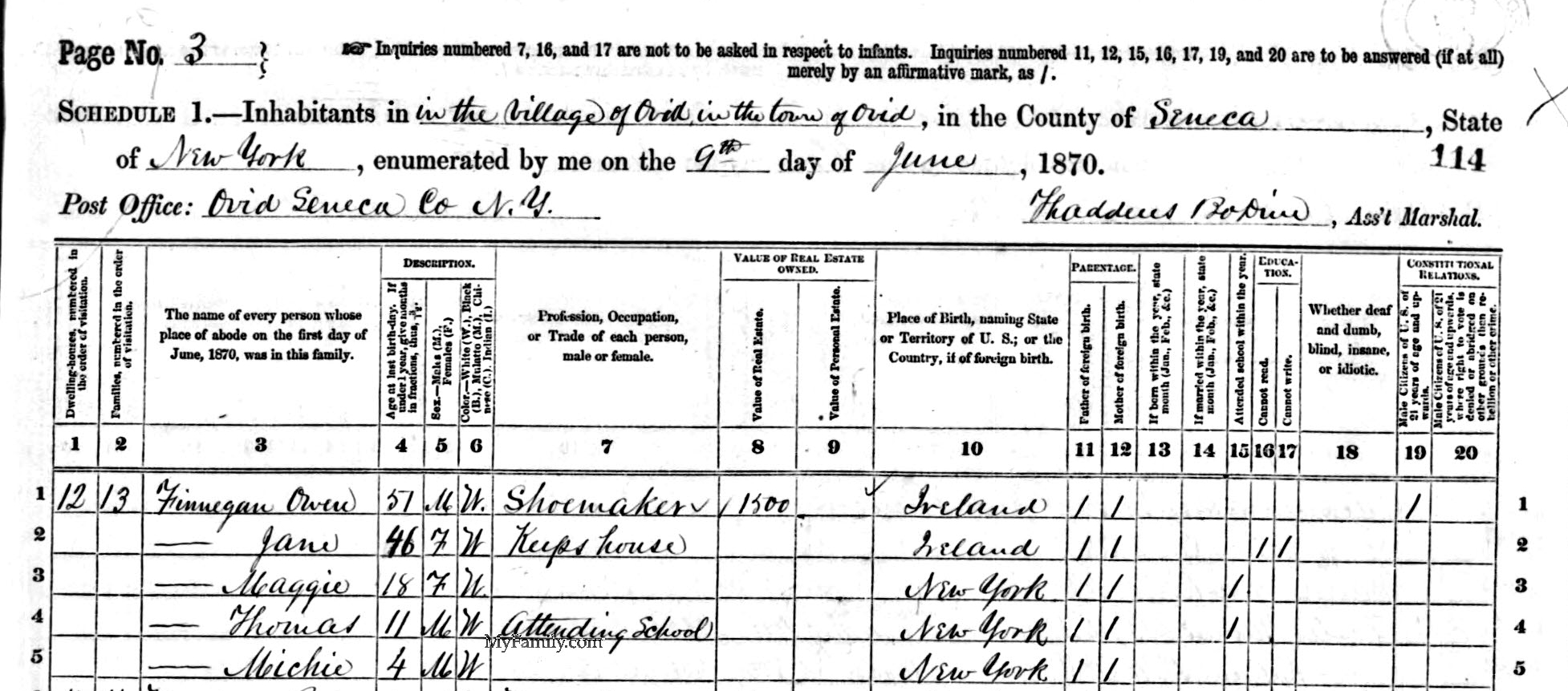 1870 US Census, New York State, Ovid, Finnigan Family